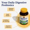Vitalitown Probiotics + Prebiotics | 60 Billion CFUs 19 Strains