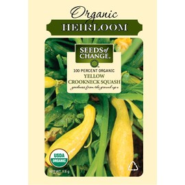 Seeds of Change 1068 Certified Organic Yellow Crookneck Summer Squash