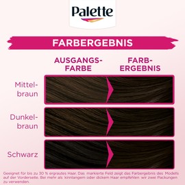 Palette Tint Cream 3-0 Black Brown (3 x 115 ml), Temporary Colouration without Ammonia for Gentle Grey Hair Coverage, Hair Colour for Gradual Washing, Lasts up to 28 Hair Washes