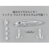 Matsuki Lure Plastic Model, Learn to Make Lures, Clear, Set