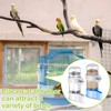 DAWZMR 2 PCS Automatic Bird Cage Water Dispenser, Parakeet Parrot