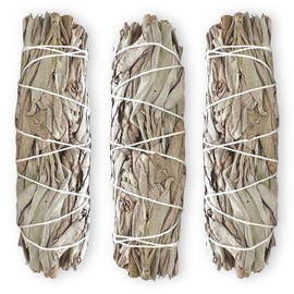 BADLA Sahumerio Natural en Manojo de 10 a 12cm| Calidad Premium Empacado al Alto Vacio| Hecho por Artesanos Mexicanos| Incienso para Sahumear Cualquier Espacio| (Salvia Blanca)