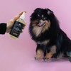 PENDLETON Eucalyptus & Peppermint 3-in-1 Dog Deodorizing Spray