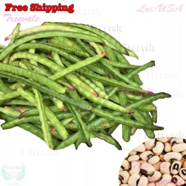 Treevale Black-eyed Pea Seeds | Black Eye Pea, Cowpea, Crowder, Southern Pea Seeds - 20 Seeds No Tracking