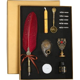 Domary Juego de pluma y tinta vintage Pluma brillante Pluma estilográfica Pluma de caligrafía Pluma de escritura Pluma de firma con puntas de