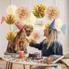 Champagne Tissue Paper Pom Poms, 20 Pcs Neutral Party Decorations,