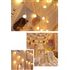 WFGGEH Globe String Lights, 10ft 20 LED USB Powered Globe