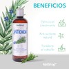 NATSHOP | Shampoo Anticaída Natural de Romero y Vitamina E