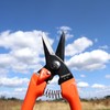Zenport Q91-3PK Hand Pruner, Orange