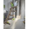 Parrot Natural Sichuan Pepper Wooden Bird Ladder Perch Cage Nature