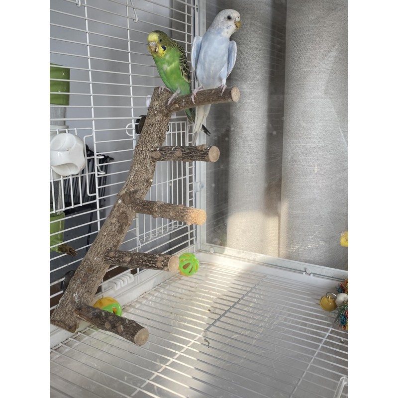 Parrot Natural Sichuan Pepper Wooden Bird Ladder Perch Cage Nature