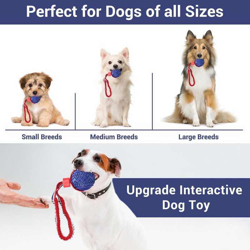 JAKPAK Dog Ball Interactive Tyre Dog Ball Rope Toy for