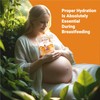 Go-Lacta Organic Moringa Tea – Increase Breast Milk Supply –