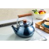 Takagi Metal Kettle ONB-2.3 KT Induction Compatible, Enamel, 0.7 gal