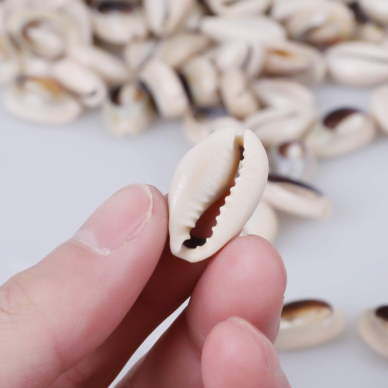 150 PCS 0.63"-0.71" Natural Strong Cowrie Shell Beads Smooth Cut