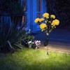 Solar Flower Lights LED Carnation Shaped Waterproof Decorative Light for