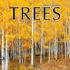 TF Publishing 2026 Trees Wall Calendar