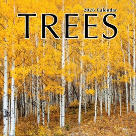 TF Publishing 2026 Trees Wall Calendar