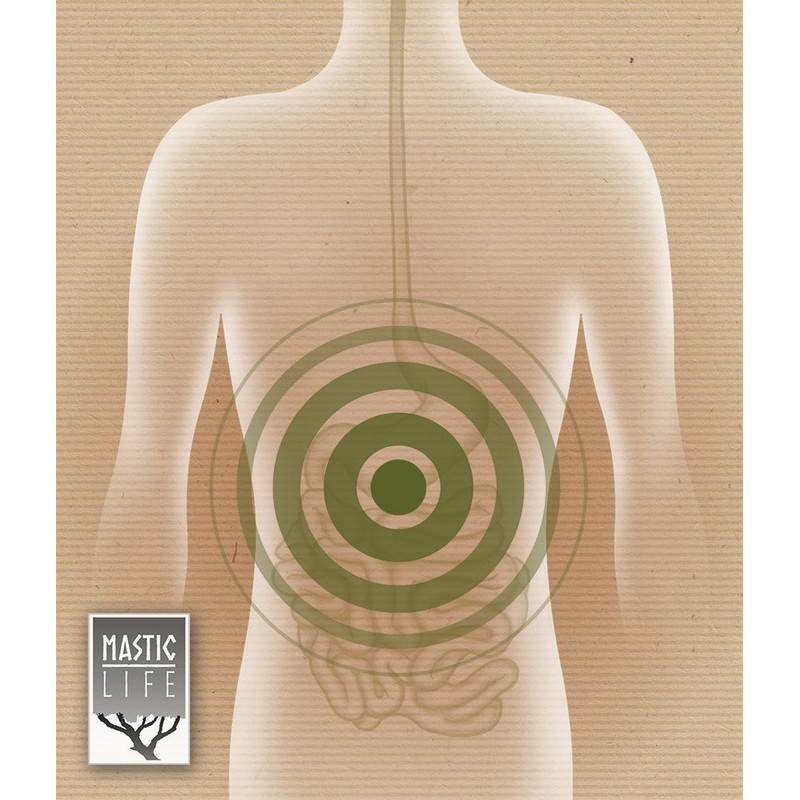 Mastic + Prebiotic (160 Capsules) Masticlife