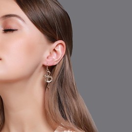 Yienate Dainty Silver Snake Earrings, Medusa Drop Earrings, Cobra Earrings, Statement Animal Stud Earrings for Women and Girls, Alloy Steel