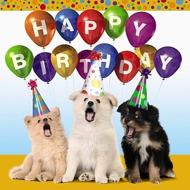 Carte Blanche 3D Holographic Card - Up Close - Birthday Dogs Wearing Hats