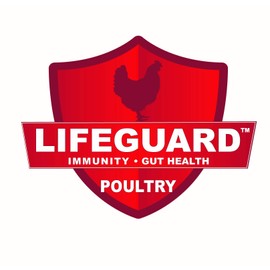 Kalmbach Feeds 18% Start Right Chick Feed Crumbles 25 lb