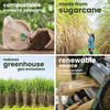 HAAGO Sugarcane Bagasse Disposable Plates for Birthdays, Weddings, Parties -