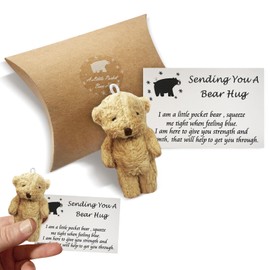 Little Pocket Bear Hug, Stuffed Animals, Plush Bear Doll Keychain as Positivity Gifts, Miss You Gifts, Worry Bear, First Day at School Gifts Soft and Cute Pocket Hugs Bear for Kids and Women