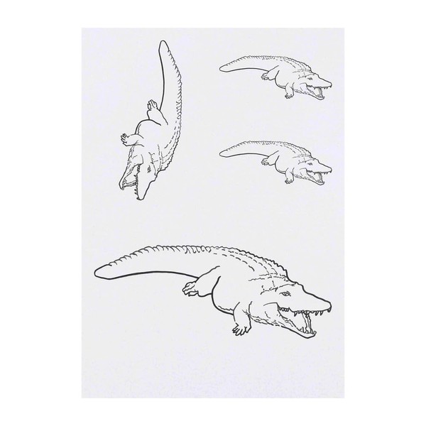 4 x 'Crocodile' Temporary Tattoos - Water Resistant, Skin-Safe, Non-Toxic