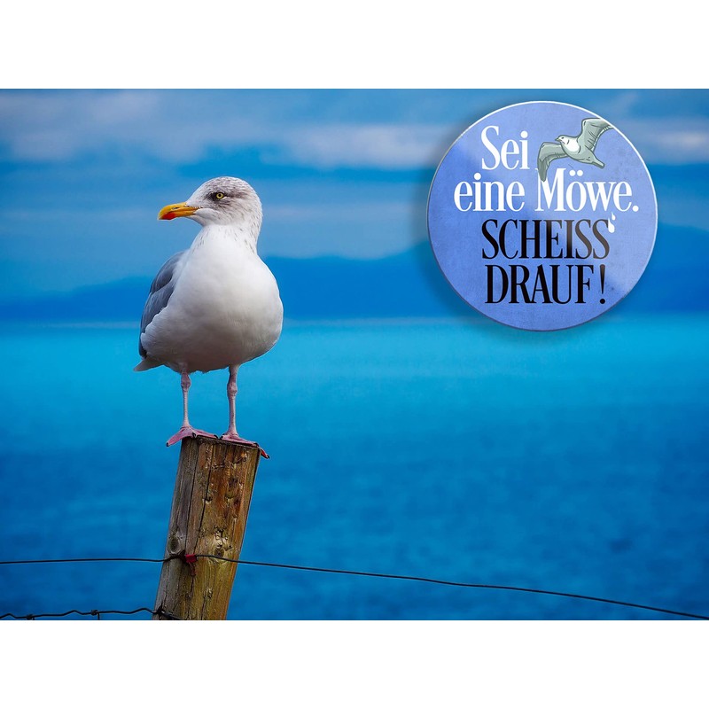 schilderkreis24 Funny Saying "Sei eine Möwe Scheiss Drauf!" Magnet Decorative