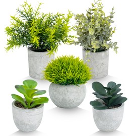 LAGAHS 5PCS Fake Plants, Small Artificial Plants Indoor, Mini Faux Eucalyptus Hedyotis Short Needle Grass Desert Rose Succulent Potted Greenery for Home, Room and Desk Decor