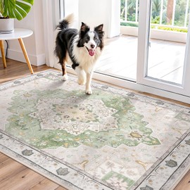 OLANLY Small Area Rug, 2x3 Soft Non Slip and Low Pile Door Mat, Vintage Floral Print Washable Entryway Rugs，Boho Retro Carpet for Entrance Bedroom Kitchen Bathroom Rug, Light Green