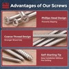 Kozelo 300pcs Phillips Flat Head Wood Screws - [#4x1/4] 304