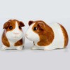 Quail Ceramics - Guinea Pig Salt and Pepper - Dutch