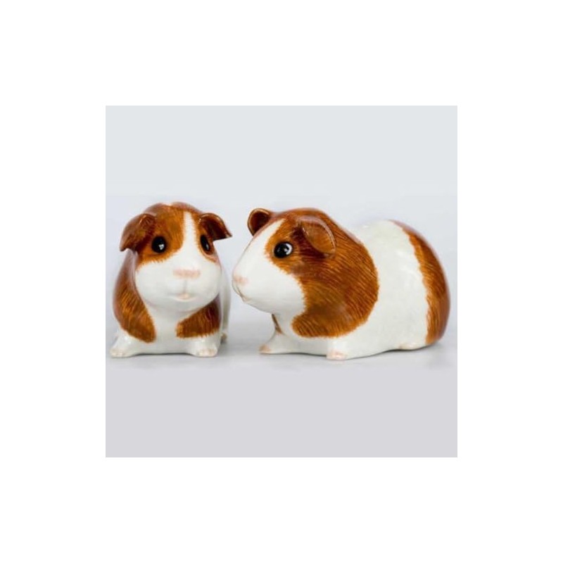 Quail Ceramics - Guinea Pig Salt and Pepper - Dutch