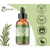Plantovika Rosemary Oil enriched with Jocoba, Caster, Argan, Peppermint, Lavender