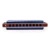 10 Holes Blues Harmonica T008K Diatonic Blues Harmonica with Case，More