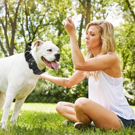 Boloshine Tactical Dog Collar with Handle, Military Training Dog Collar, Breathable Padded Adjustable Dog Collar with Heavy-Duty Metal Buckle for Medium Large Dogs (Black, M)