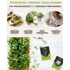 15 Tactiko Rapid Growth Microgreens & Vegetable Seed Kit –