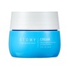 Atomy Hydra Brightening Cream (Moisturizing Cream) / 애터미 하이드라 브라이트닝