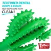 Jeffers Pet Natural Rubber Dog Chew Toy – Green Dental