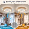 Ceiling Fans with Lights, 20'' Ceiling Fans with Lights and