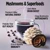 VitaCup Focus Mushroom Instant Coffee | For Memory & Clarity