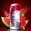 CELSIUS ESSENTIALS™ Sparkling Watermelon Ice, Sugar Free Performance Energy Drink,