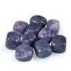 SUBSH Lepidolite Tumbled Stones and Crystals Bulk - Healing Stones
