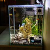 Mudoulu Aquarium Tunnel Decoration, Corner Fish Tank Accessory for Shrimp
