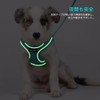 AIBPET Dog Harness with Leash for Small Dogs, Soft, Lightweight,