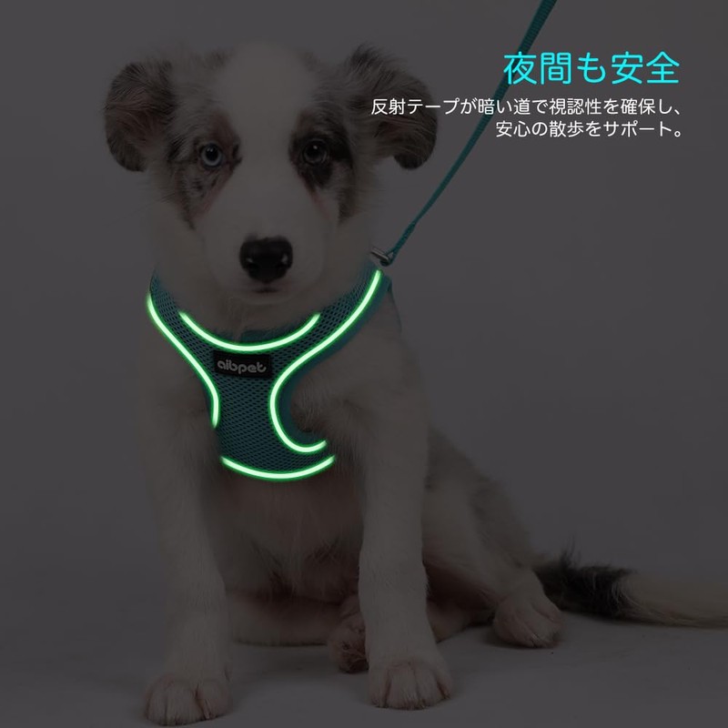 AIBPET Dog Harness with Leash for Small Dogs, Soft, Lightweight,