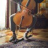 Anti-Slip Cello Pad, Cello Non Slip Mat Pads, Cello Spike