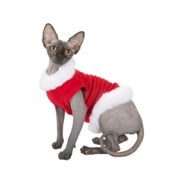 Kotomoda cat's sweater Santa Klaus (XS)